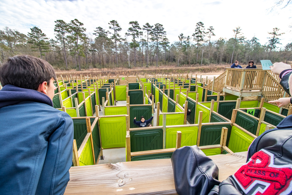 Mystic Forest Maze