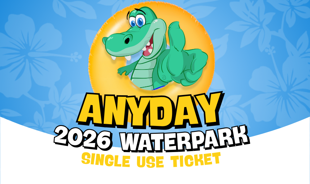 Any Day Ticket