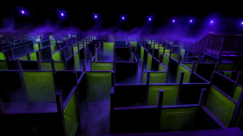 Mystic Forest Maze